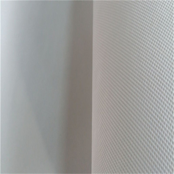 雙向塑料土工格柵